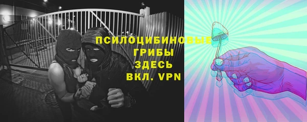 эйфоретик Арсеньев