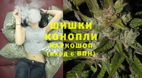 эйфоретик Арсеньев