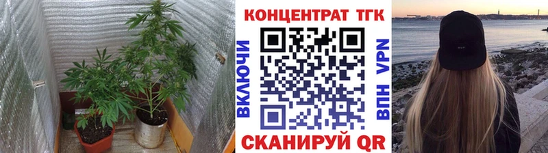Купить закладки  Малгобек  Дистиллят ТГК концентрат 