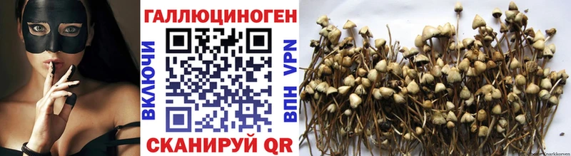 Псилоцибиновые грибы прущие грибы  Купить закладки  Малгобек 